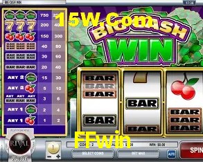 Platform Technology FFwin